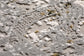 ANDROS RUG COLLECTION (AD07) (GRAY)