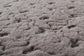 AMORE RUG GRAY (GRAY)